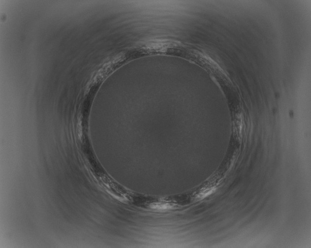 X0000078290504200611031235