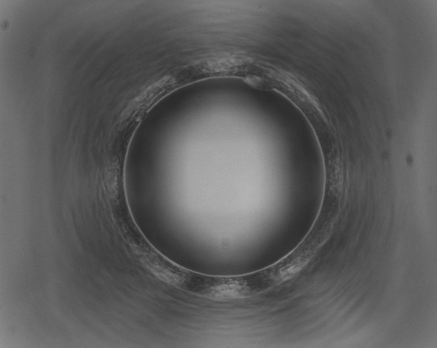 X0000078290505200611031235