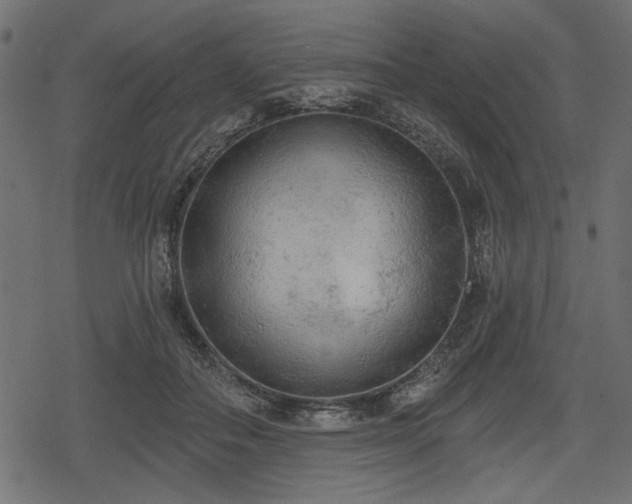 X0000078290506200611031235