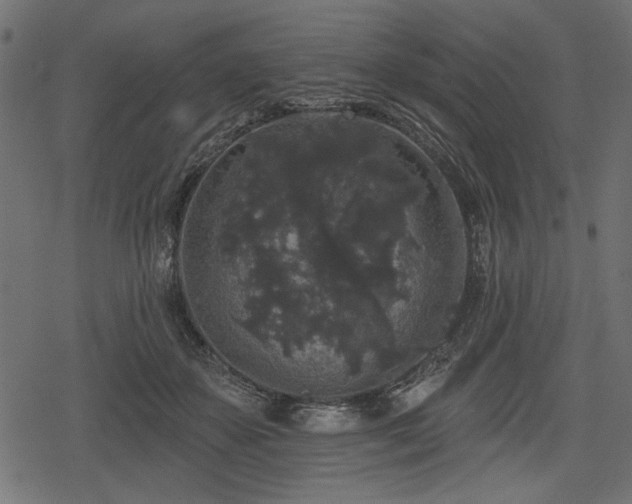 X0000078290507200611031235