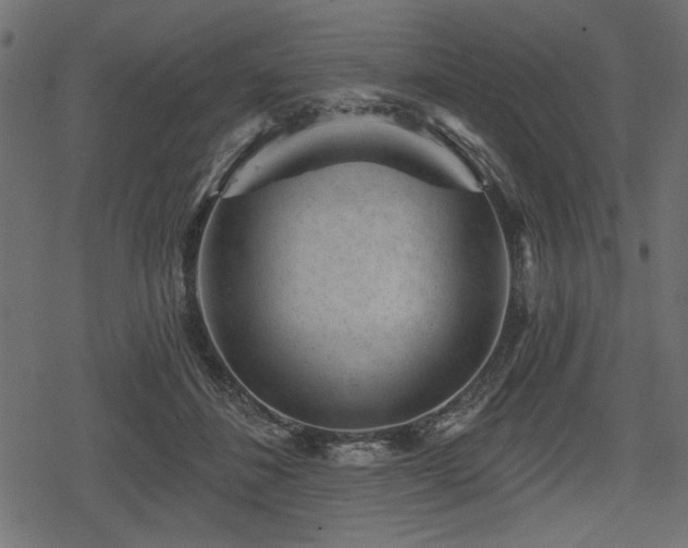 X0000078290508200611031235