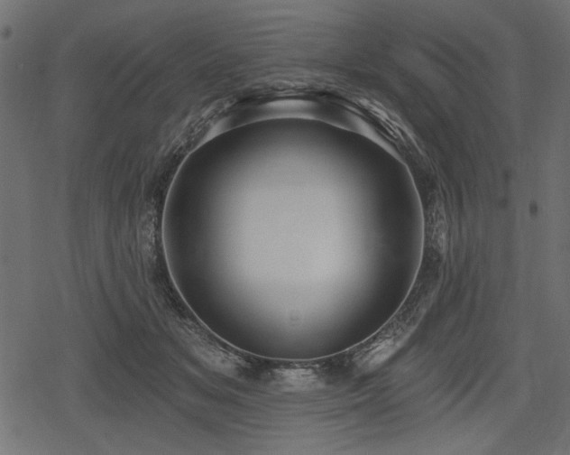 X0000078290509200611031235