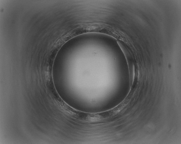 X0000078290510200611031235