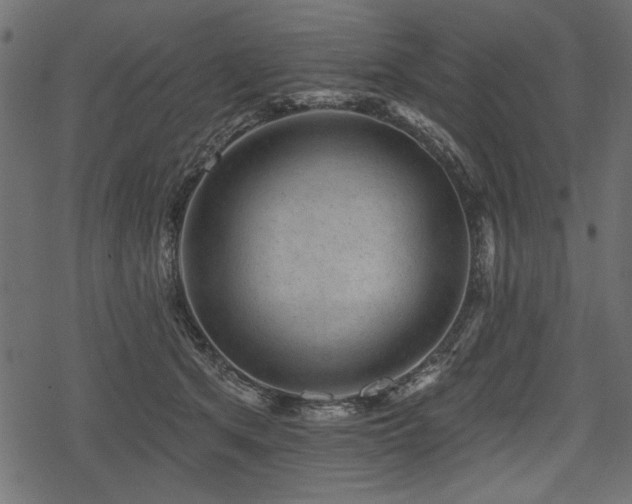 X0000078290513200611031235