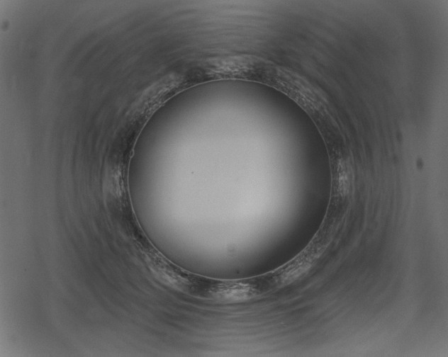 X0000078290514200611031235