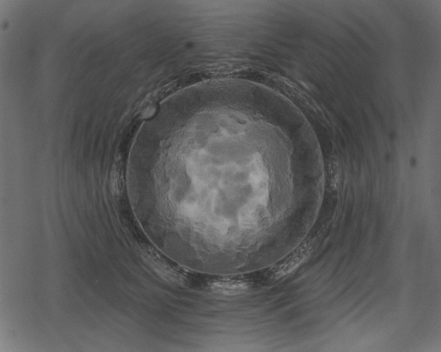 X0000078290515200611031235