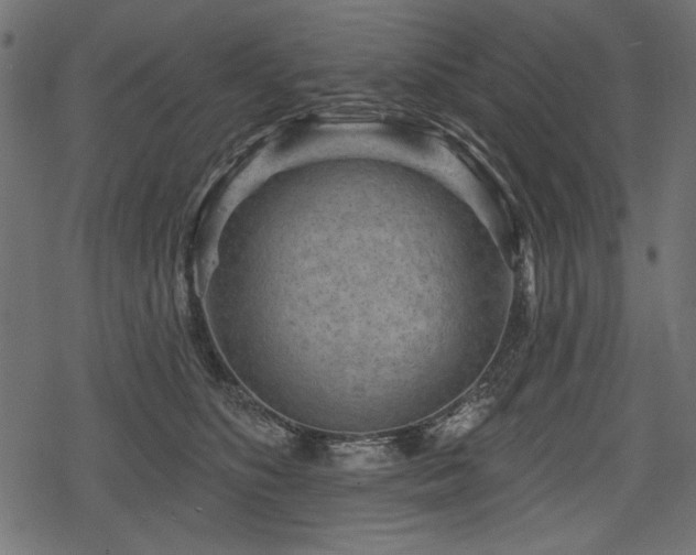 X0000078290516200611031235