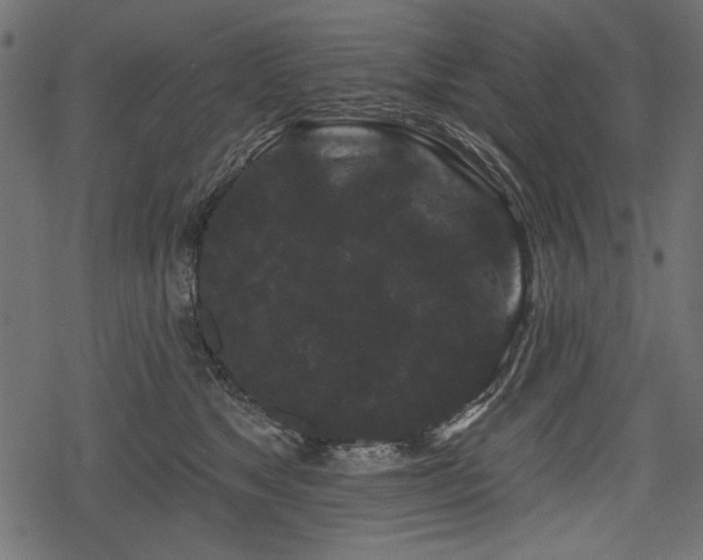 X0000078290517200611031235