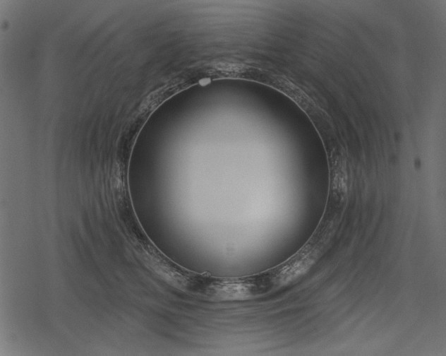 X0000078290518200611031235