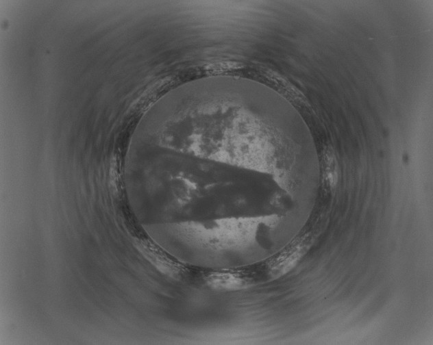 X0000078290519200611031235