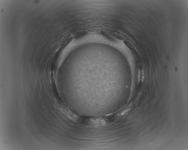 X0000078290520200611031235