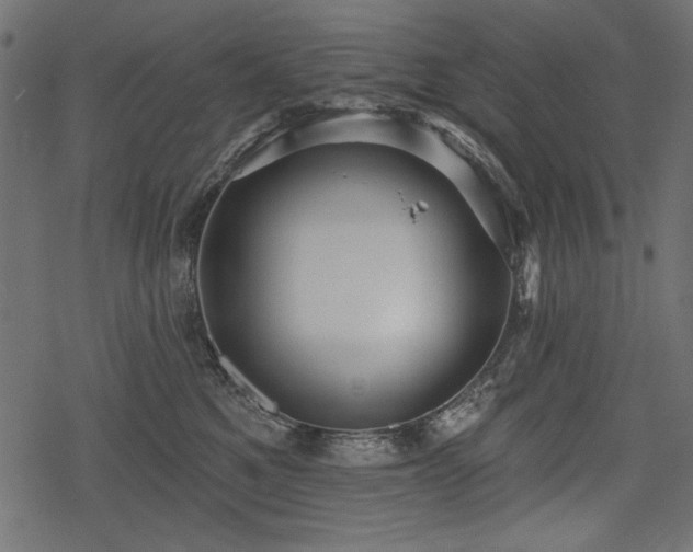 X0000078290521200611031235