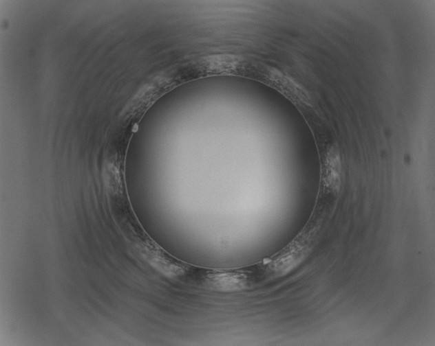 X0000078290522200611031235