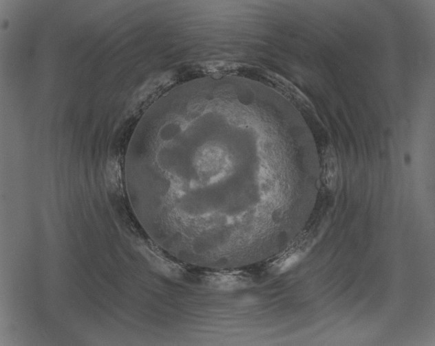 X0000078290523200611031235