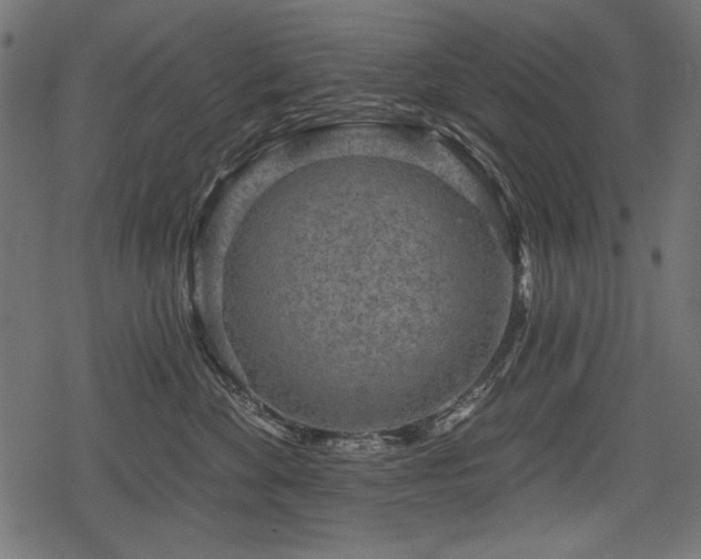 X0000078290524200611031235