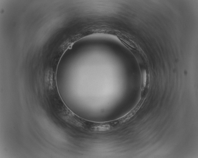 X0000078290525200611031235