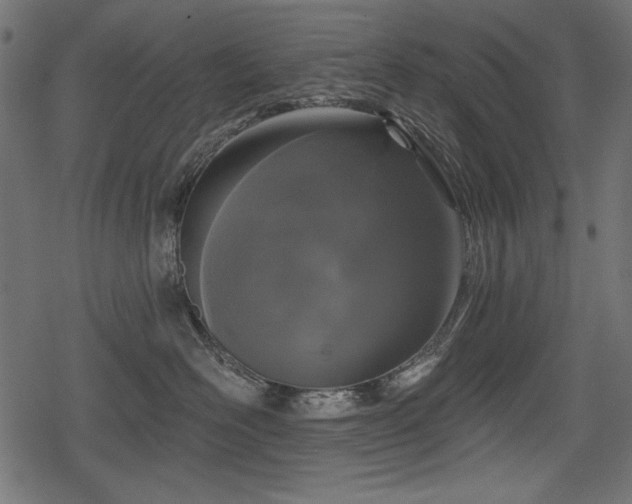 X0000078290526200611031235