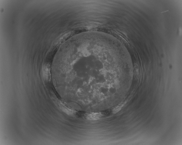 X0000078290527200611031235