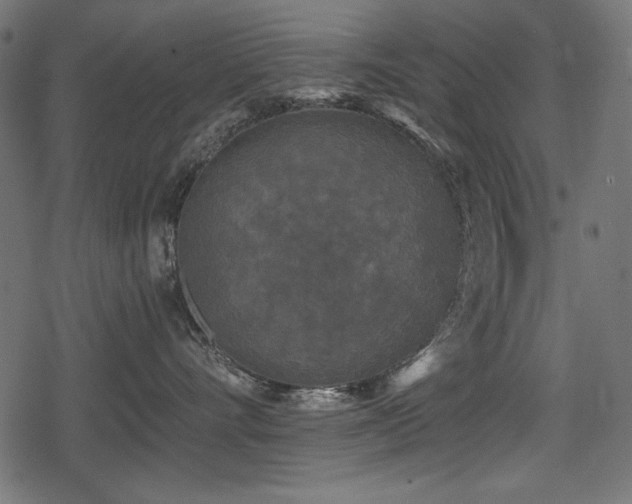 X0000078290528200611031235