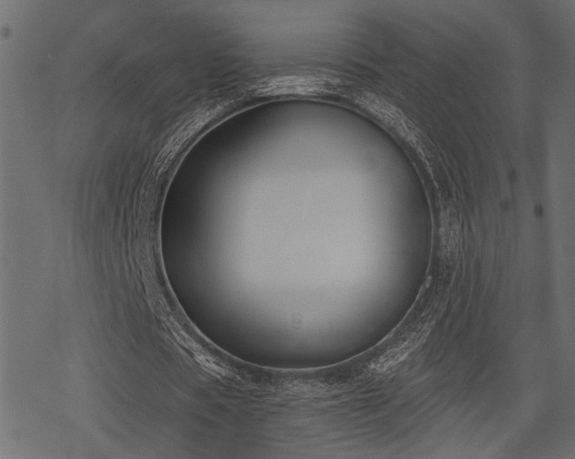 X0000078290529200611031234