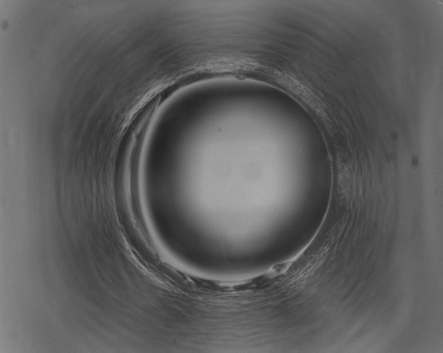 X0000078290530200611031234