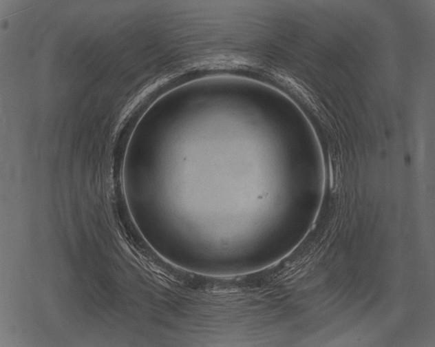 X0000078290531200611031234