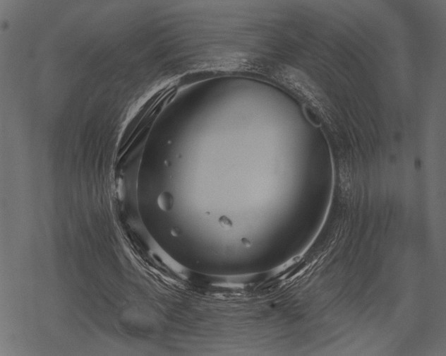 X0000078290532200611031234