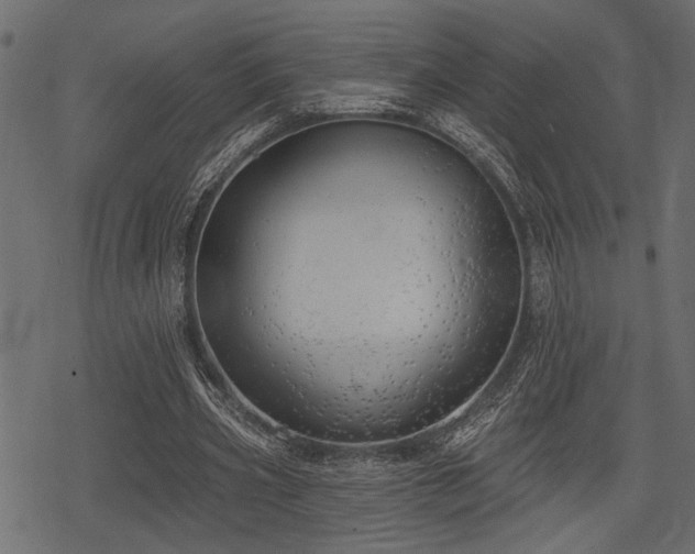 X0000078290533200611031234