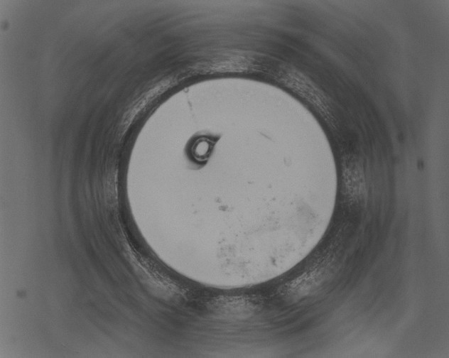 X0000078290534200611031234