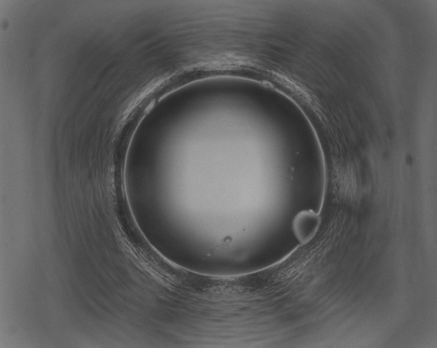 X0000078290535200611031234