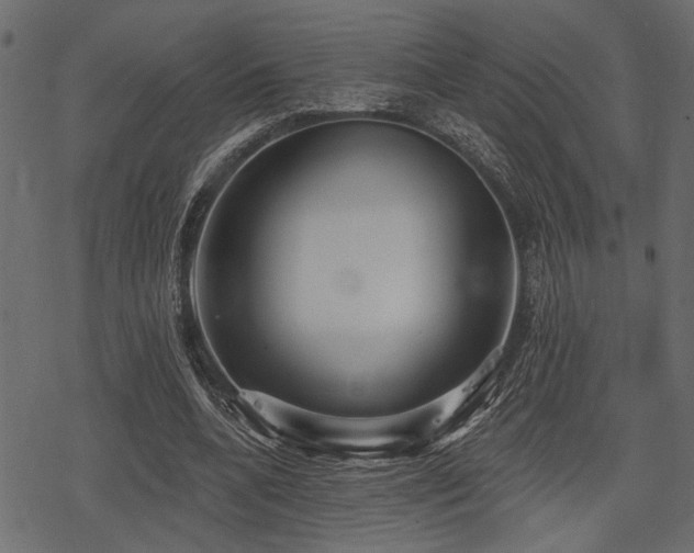 X0000078290536200611031234