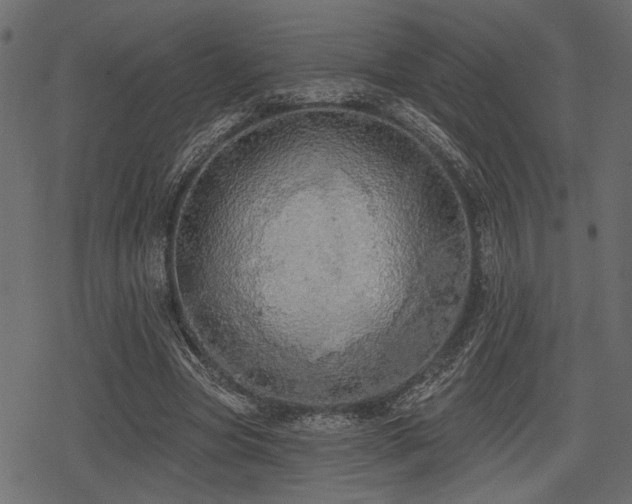 X0000078290537200611031234