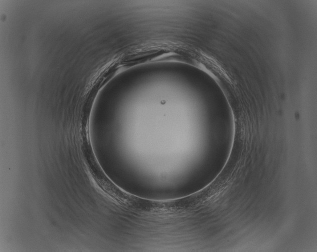 X0000078290538200611031234