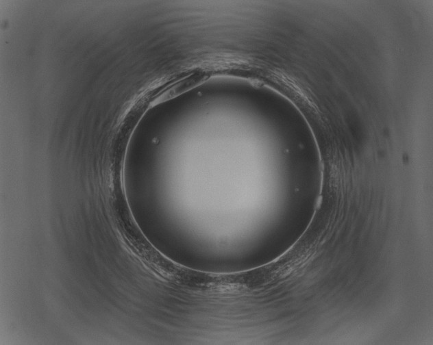 X0000078290539200611031234