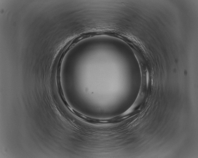 X0000078290540200611031234