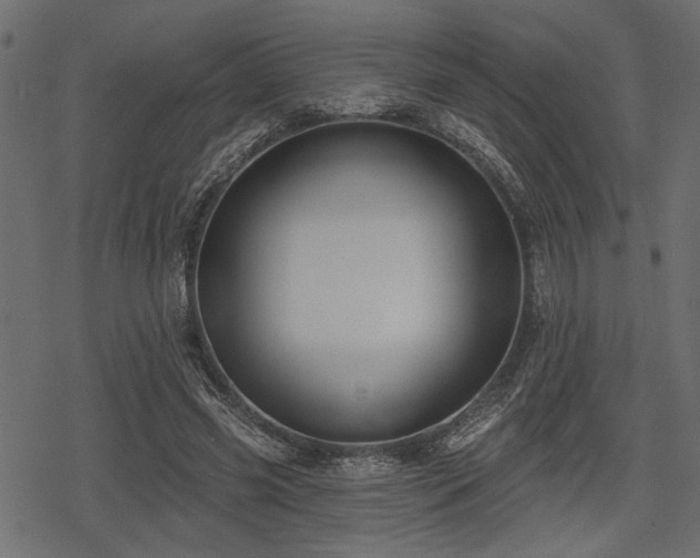 X0000078290541200611031234