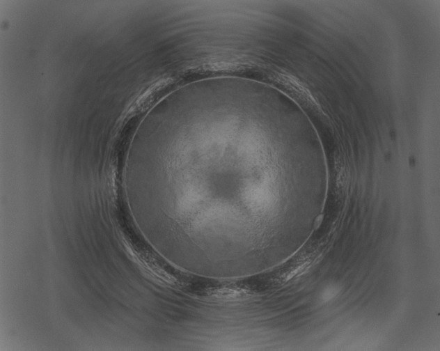 X0000078290542200611031234