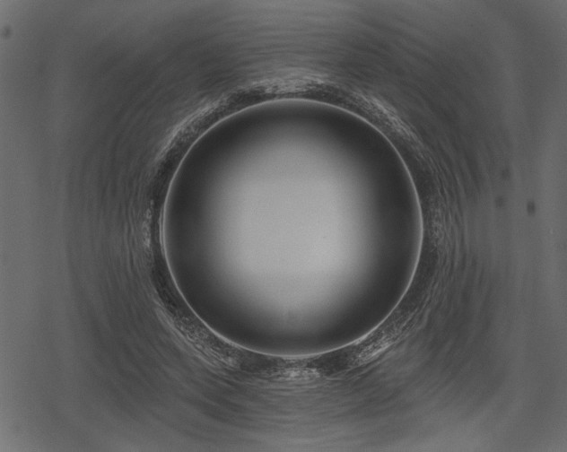 X0000078290543200611031234