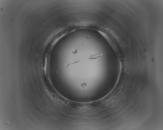 X0000078290544200611031234