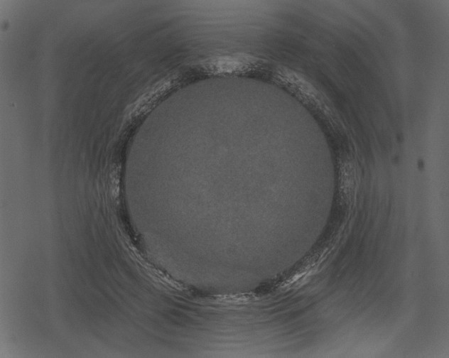 X0000078290545200611031234