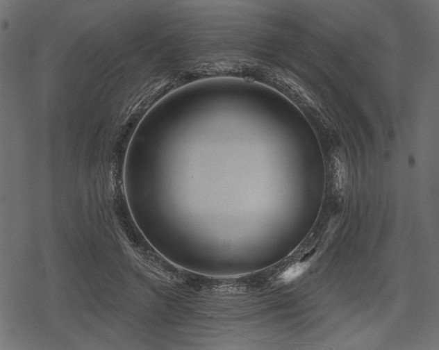 X0000078290546200611031234