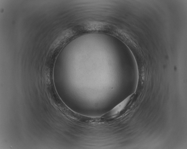 X0000078290547200611031234