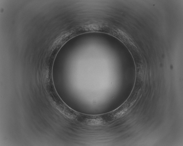 X0000078290548200611031234