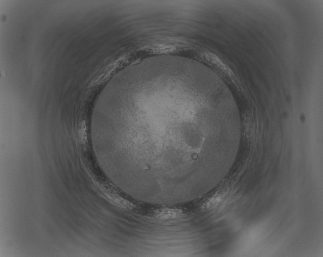 X0000078290549200611031234