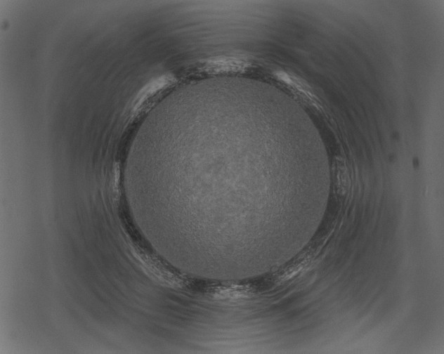 X0000078290550200611031234