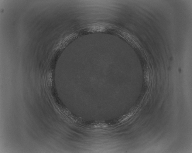 X0000078290551200611031234