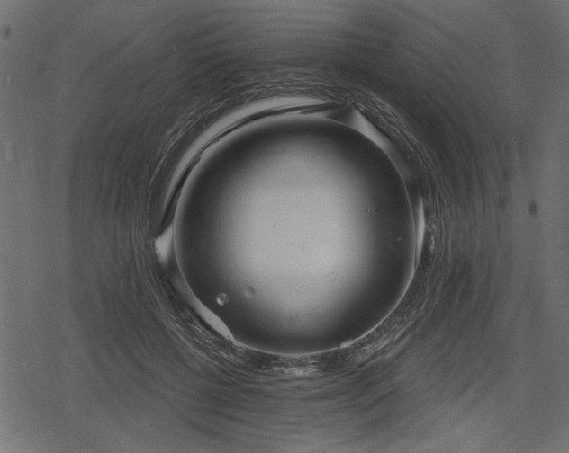 X0000078290552200611031234