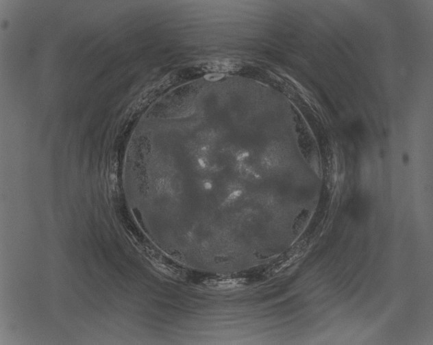 X0000078290553200611031234