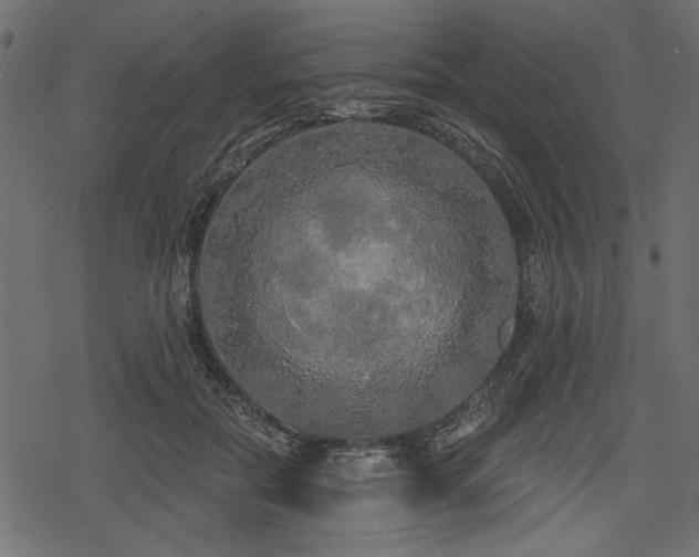 X0000078290554200611031234