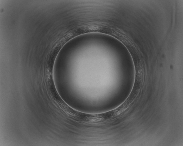 X0000078290555200611031234